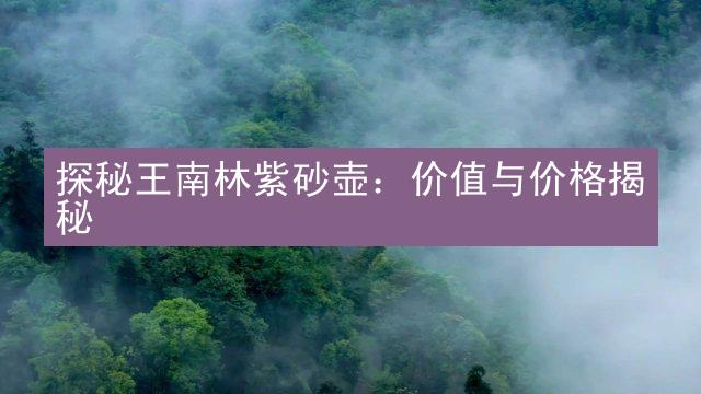 探秘王南林紫砂壶：价值与价格揭秘